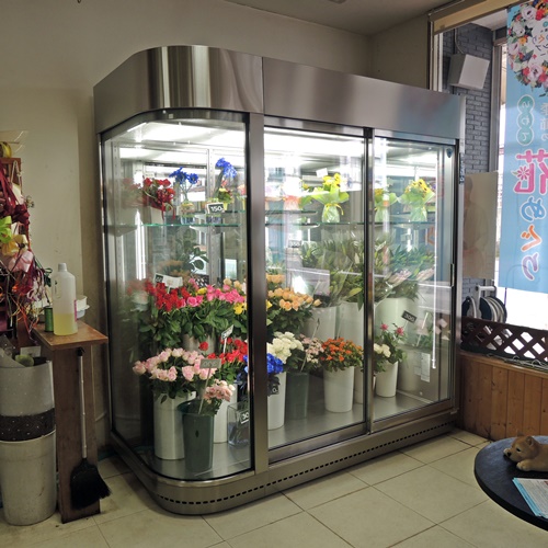 お花屋さんプチ改装中 ぐんきん